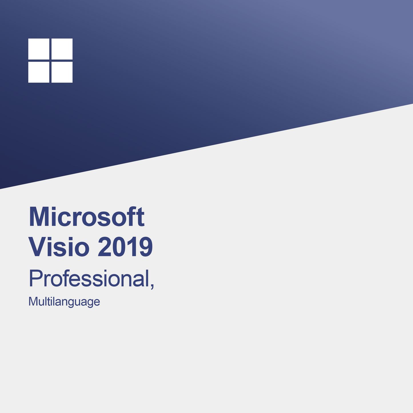 Microsoft Visio 2019 Professional, Meertalig