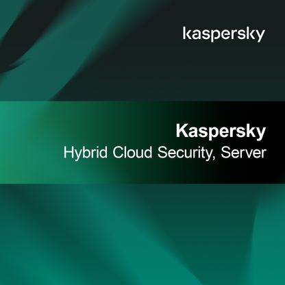 Kaspersky Hybride Cloudbeveiliging, Server