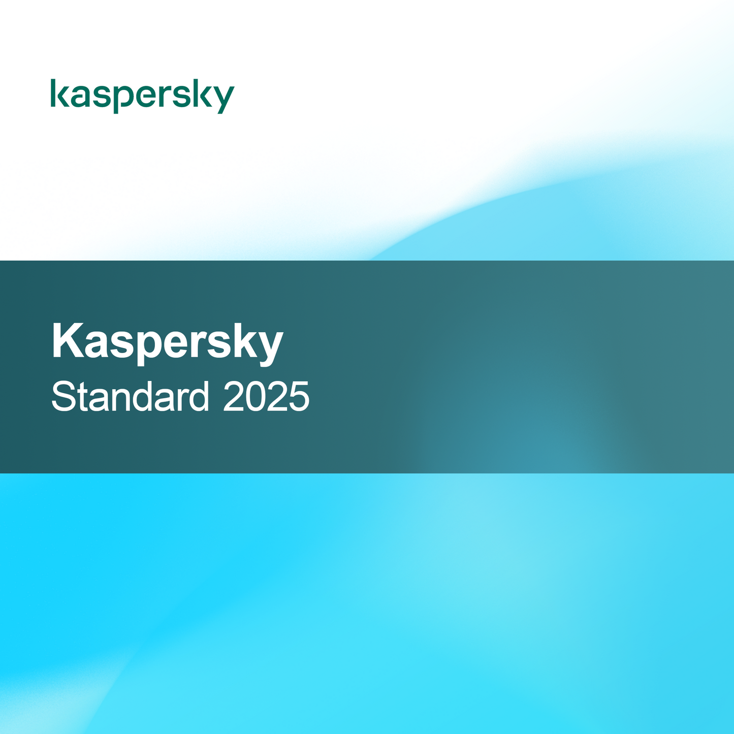 Kaspersky Standaard 2025