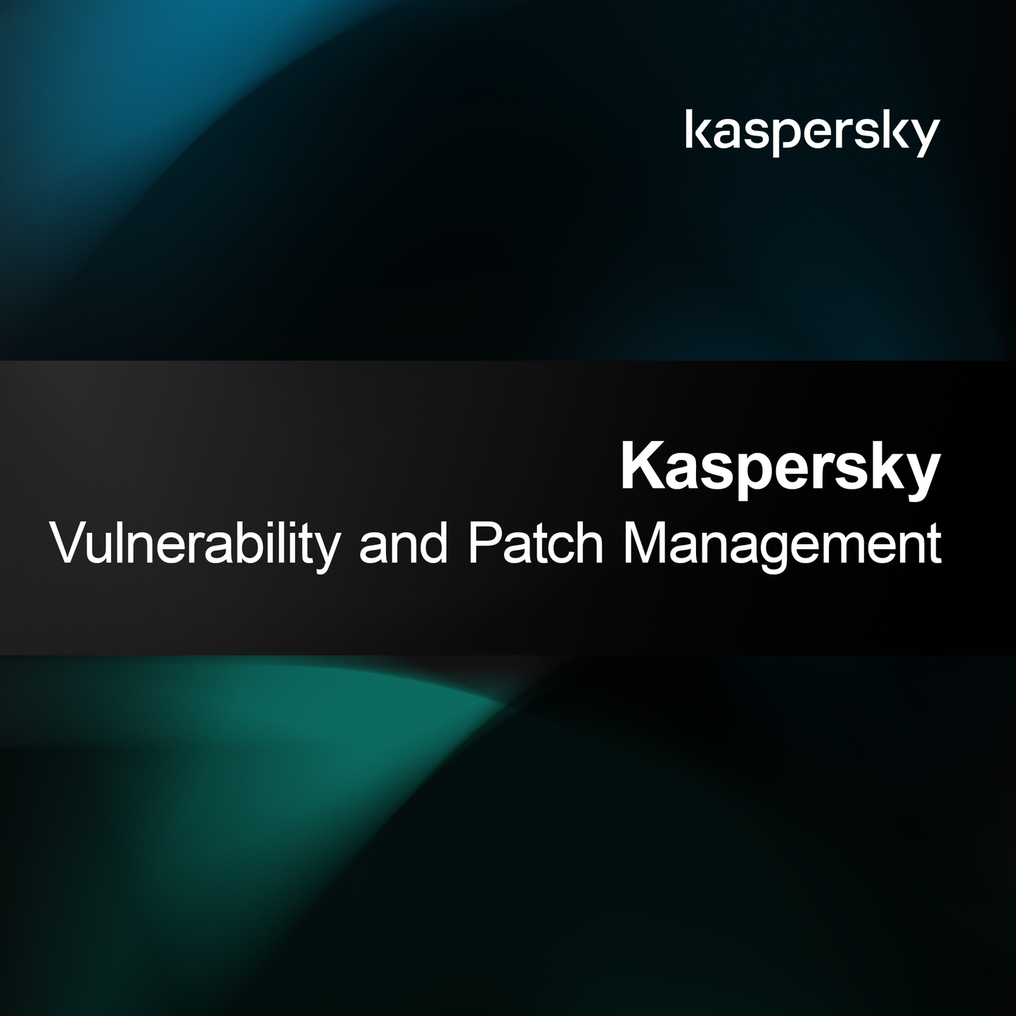 Kaspersky Kwetsbaarheids- en Patchbeheer
