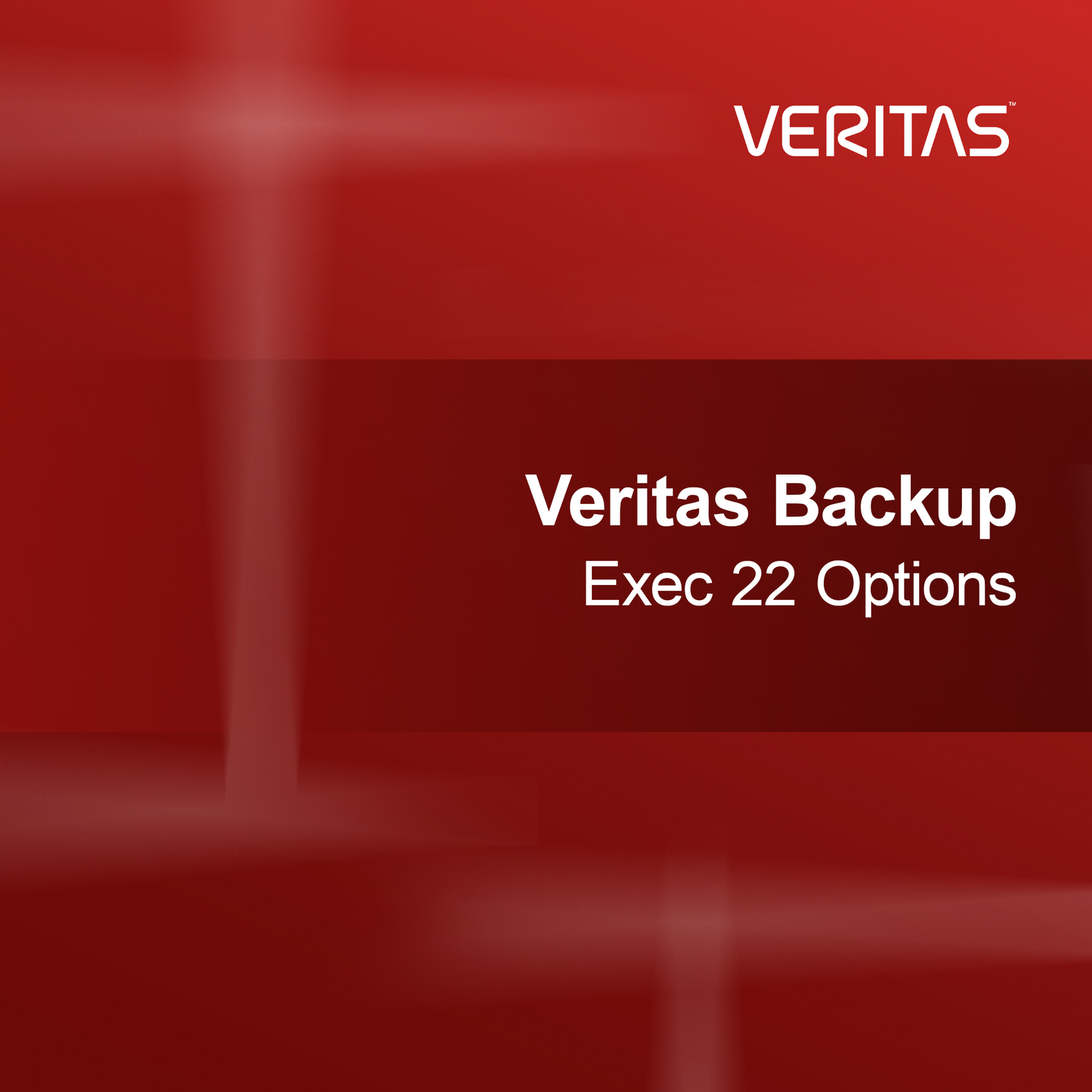 Veritas Backup Exec 22 Opties