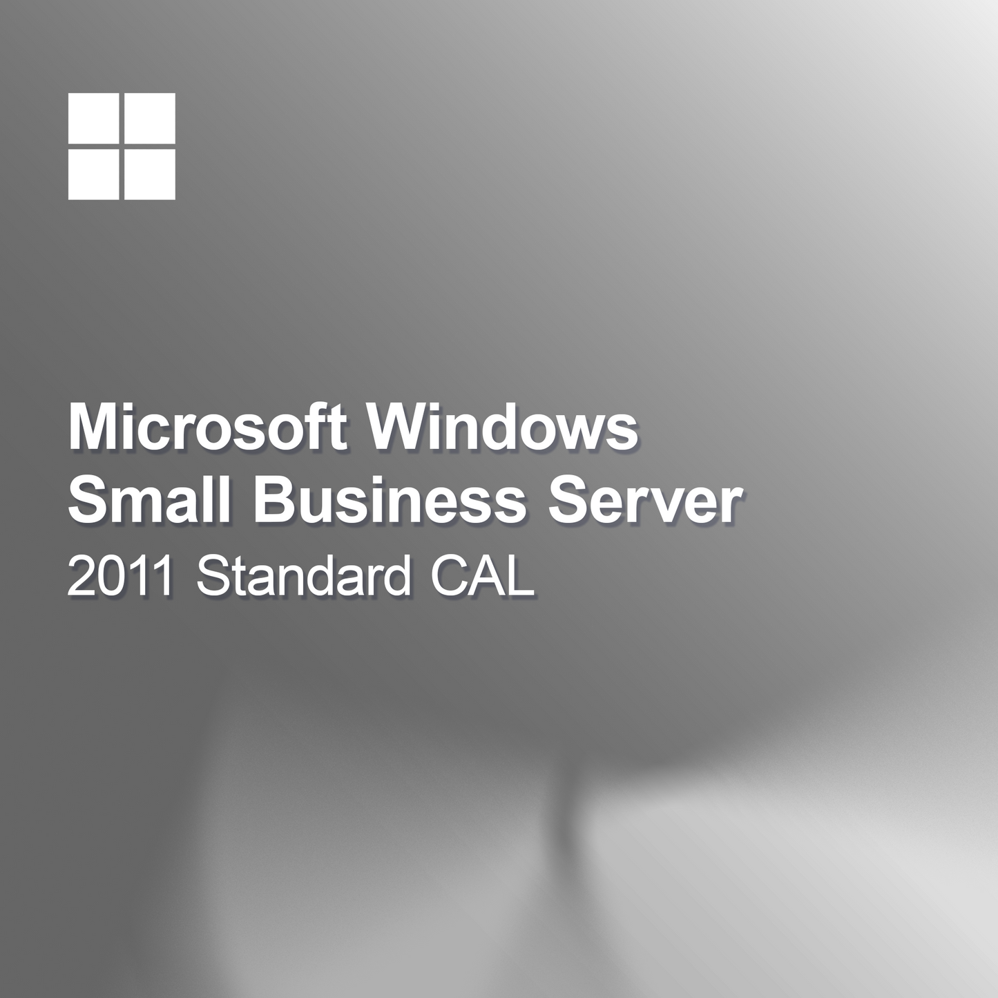 Windows Small Business Server 2011 Standaard CAL